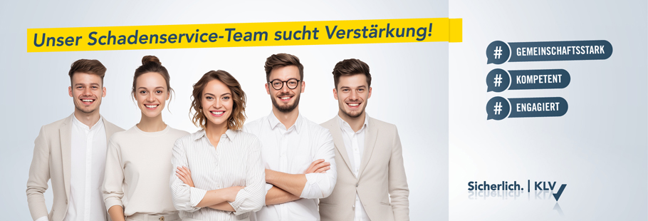 Ein Team bestehend aus fünf jungen Menschen, dazu die Headline "Unser Schadenservice-Team sucht Verstärkung!". Daneben die Schlagworte: gemeinschaftsstark, kompetent, engagiert.